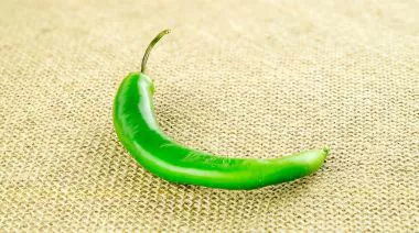 garnishing-instructions-image